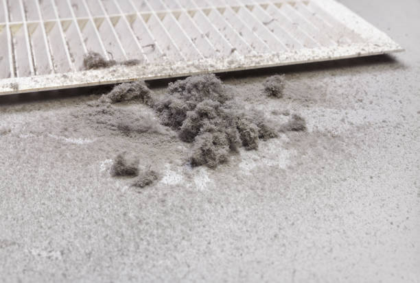 Best Local Air Duct Cleaning Services  in Montana City, MT