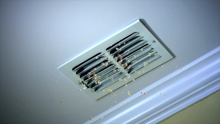 Ductwork Cleaning Services in Montana City, MT